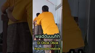 Di Obok - obok Ikannya pada Mabok !!#Shorts