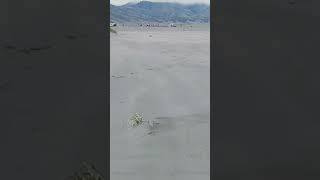 badai pasir di gunung Bromo