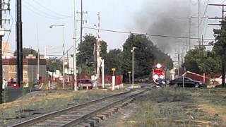 Autos y transporte público VS el tren de Guadalajara