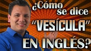 ¿Cómo se dice "VESÍCULA" en inglés?