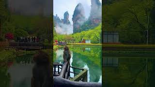 So beautiful lake #shorts #youtubeshorts #viral #viralvideo