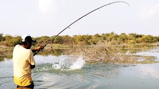 New Bait items using 🎣 To Catching in BiG ROHU Fishing and Best Fishing Krishna Village Fishing