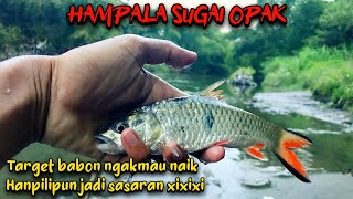 trip casting hampala sugai opak Jogja masih ada cintanya