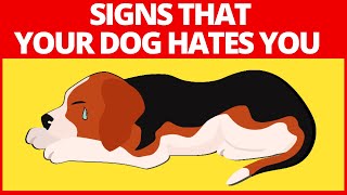 10 Signs To Know If Your Dog Hates You