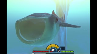 Feed and Grow Fish Whale Shark Adventures