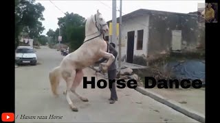 Nukra Horse Dance