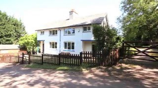 Badger Cottage, Ashcombe Country Cottages