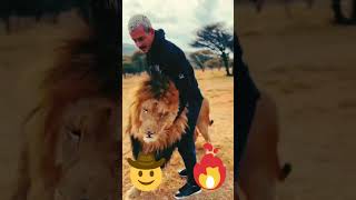 Heartwarming Reunion: Lion Greets Human Friend After some weeks🔥🔥👏💯🤷