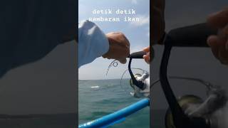 sambaran ikan menyambar popper #fishing #casting #mancing #gianttrevally