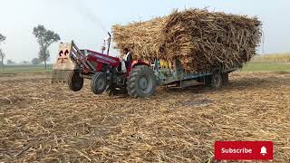 Massey tractor 385 Live Power Show In Stund