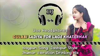 Gulabi Sadiya Tor Lage Khatarnak Nagpuri llJashipur Style Vibration Drinking Mix llDencer Remix Zone