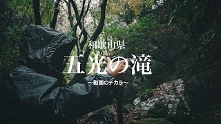 #photographer #videographer 五光の滝 | 動画のチカラ | 和歌山県 | Vlog | japan | shot on a7S3