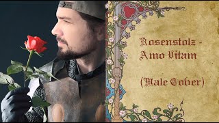 Amo Vitam - Rosenstolz (Male Classical Latin Cover) #tavernwave #bardcore #covermusic