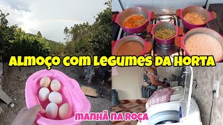 ROTINA DA MANHÃ AQUI NA ROÇA + ALMOÇO FRESQUINHO COM LEGUMES COLHIDO DA HORTA E LIMPEZA E MAIS