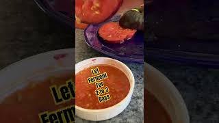 Saving Tomato Seeds