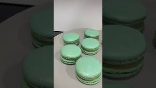 Macarons making #pistachio #macarons #pistachiomacarons #qatarlife #shorts #cakedecoratingideas