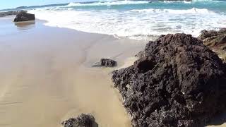 El vídeo más bonito. Veo ballenas!! Stradbroke Island (Australia)