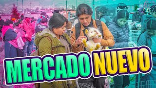 Íbamos a COMPRAR un CHANCHITO en el MERCADO NUEVO de ANIMALES pero...