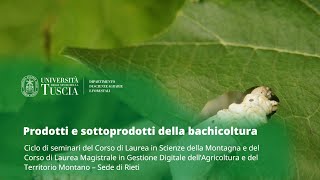 🖥️ WEBINAR | PRODOTTI E SOTTOPRODOTTI DELLA BACHICOLTURA