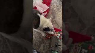 Riley love’s opening presents