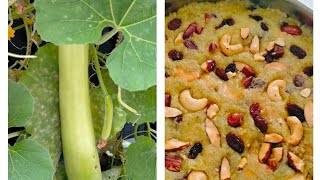 Lauki ka Halwa//Bottle gourd halwa