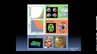 An Introduction to the Neurobiology of Traumatic Stress