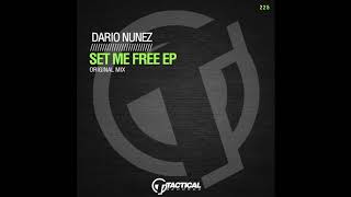 TR225 Dario Nunez  -  Set me free  feat. Alina (Original Mix)