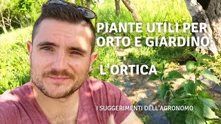 PIANTE UTILI PER L'ORTO/GIARDINO - L'ORTICA