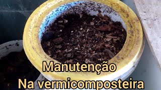 Manutenção na  vermicompostagem das minhocas californianas