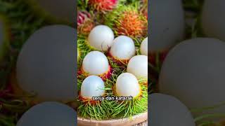 khasiat Buah RAMBUTAN