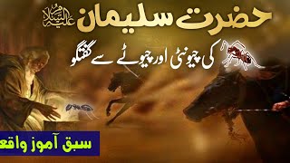 hazrat suleman aur chunti - hazrat suleman and ant | hazrat suleman aur chunti | Mujahid tv urdu