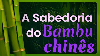 A Incrível Lição do Bambu Chinês que Vai Mudar sua Vida!