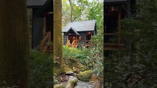 Peaceful cabin moment #shorts #cabinlife #cabininthewoods