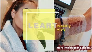 erasmus productive weekly vlog