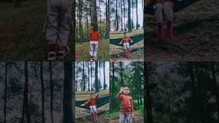 Hutan Pinus 🌲 #hutanpinus #pohonpinus #anakkecil #anaklucu #shortvideo #viral #video #fyp