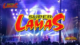 ✨NO VOY A TRABAJAR EN VIVO LOS SUPER LAMAS ✨