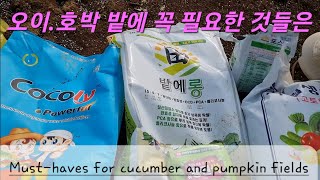 오이.호박 기비시 꼭 필요한 요소들#오이.호박잘키우기#Cucumber and Pumpkin Field Making#농사유튜브