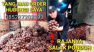 Salak Pondoh Wahyu Sidadi Banjarnegara Spek Terbaik