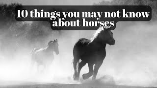 10 Facts You May Not Know About Horses