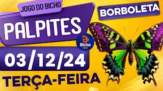 PALPITE DO DIA 03/12/2024 - JOGO DO BICHO 🍀 TODAS AS LOTERIAS 🍀