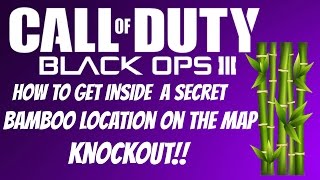 COD BO3 GLITCHES-HOW TO GET INSIDE A SECRET BAMBOO ROOM ON KNOCKOUT!!