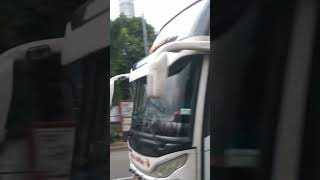 Bis PAHALA KENCANA | Denpasar - Jakarta #videoshort #bismaniacommunity #fypyoutube