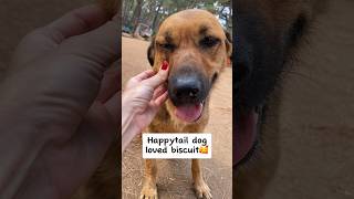 A tasty surprise to street dog!