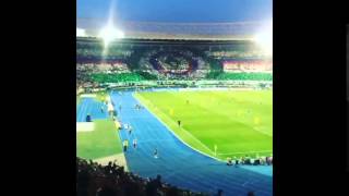 Rapid  Wien - Villarreal  17.09.2015 (choreo)