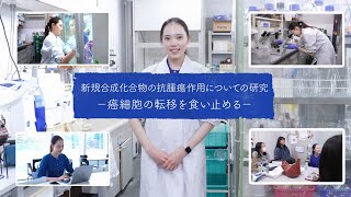 Our Story（澤井葉さん―新規合成化合物の抗腫瘍作用についての研究）