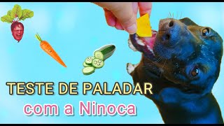 Teste de Paladar com a Ninoca - vários legumes, será que a doguinha come todos? #shorts