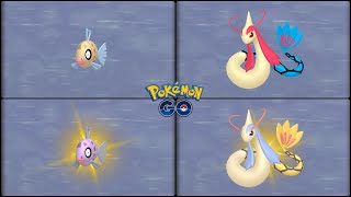 Pokemon Go: Evolving Normal & Shiny Feebas into Milotic