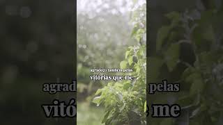 Agradeça a Deus por mais um dia de vida  #motivacional #reflexão #oração #boa-noite