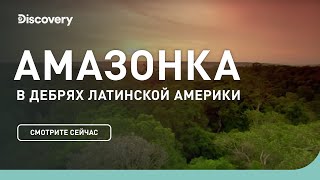 Амазонка | В дебрях Латинской Америки | Discovery Channel