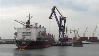 ZEESCHIP LOSSEN IN DE WIHELMINA HAVEN